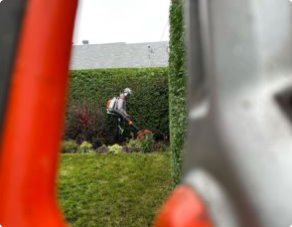 hedge reduction & reshaping