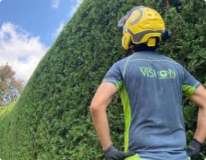 hedge trimming