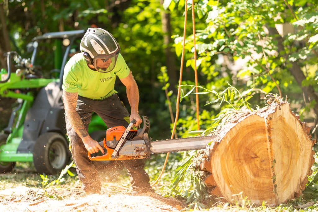 tree care services in Kirkland